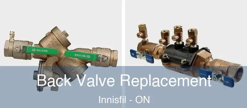  Back Valve Replacement Innisfil - ON