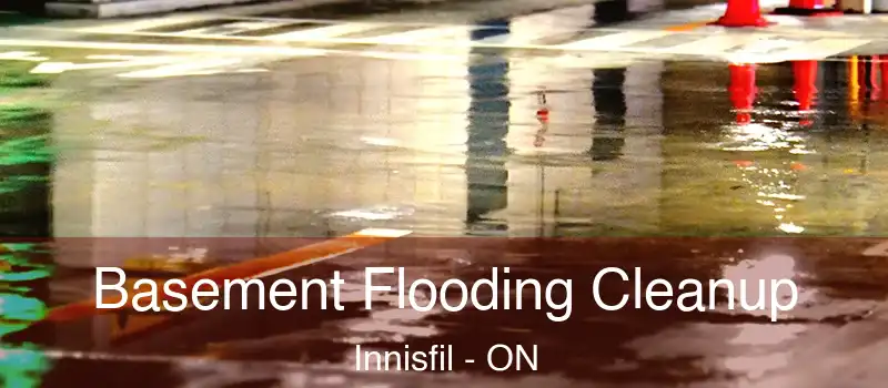  Basement Flooding Cleanup Innisfil - ON