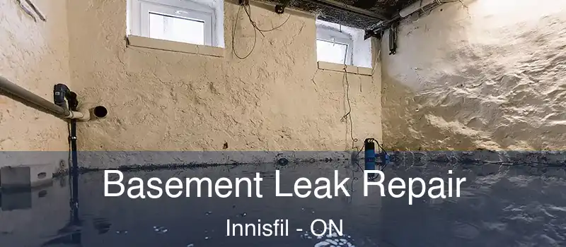  Basement Leak Repair Innisfil - ON