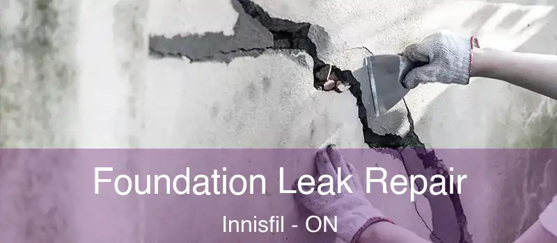  Foundation Leak Repair Innisfil - ON