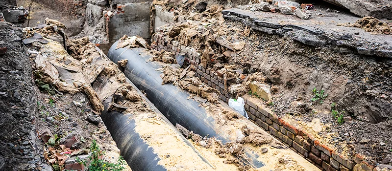Commercial Sewer Tree Roots Damage Solutions in Innisfil, ON