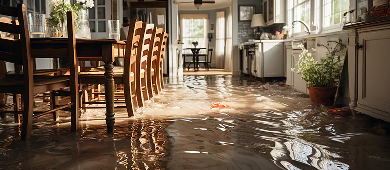 Flooded House Help Near Me in Innisfil, Ontario