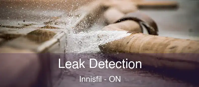  Leak Detection Innisfil - ON