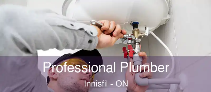  Professional Plumber Innisfil - ON