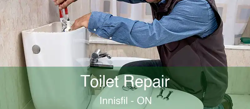  Toilet Repair Innisfil - ON