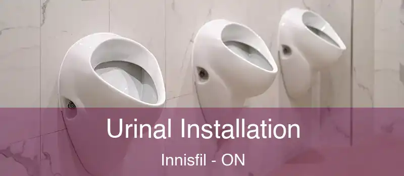  Urinal Installation Innisfil - ON