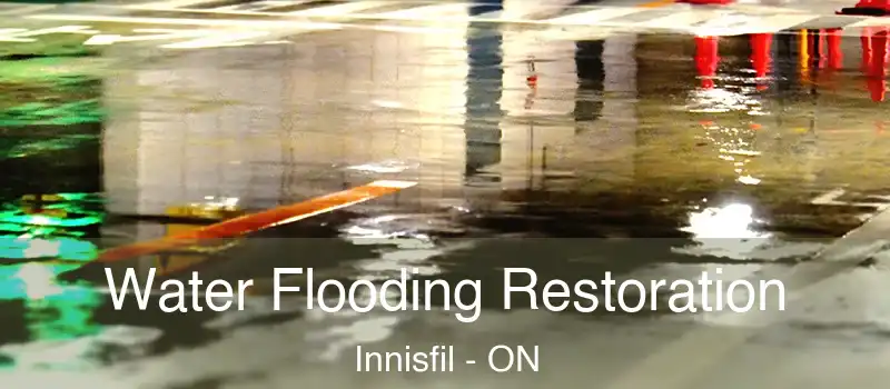  Water Flooding Restoration Innisfil - ON