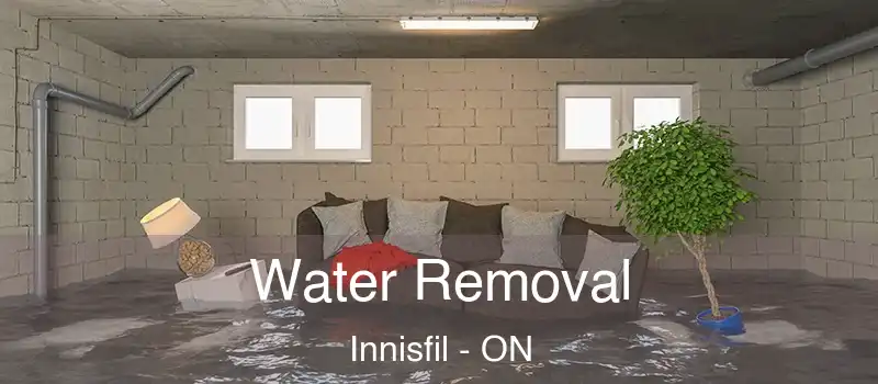  Water Removal Innisfil - ON
